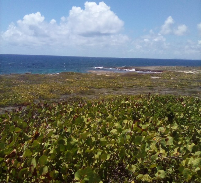 0.67 acre Psarcel 170 looking to St Barths